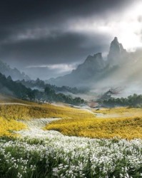 逆水寒：新世界 —— 玩了三年的坑，今天它把桌子掀了